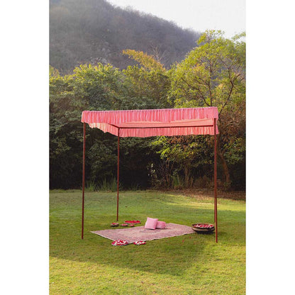 Ajiesh Oberoi Princess Sleeves Scalps Pre Stitched Drape Saree With Stitched Blouse - Pink