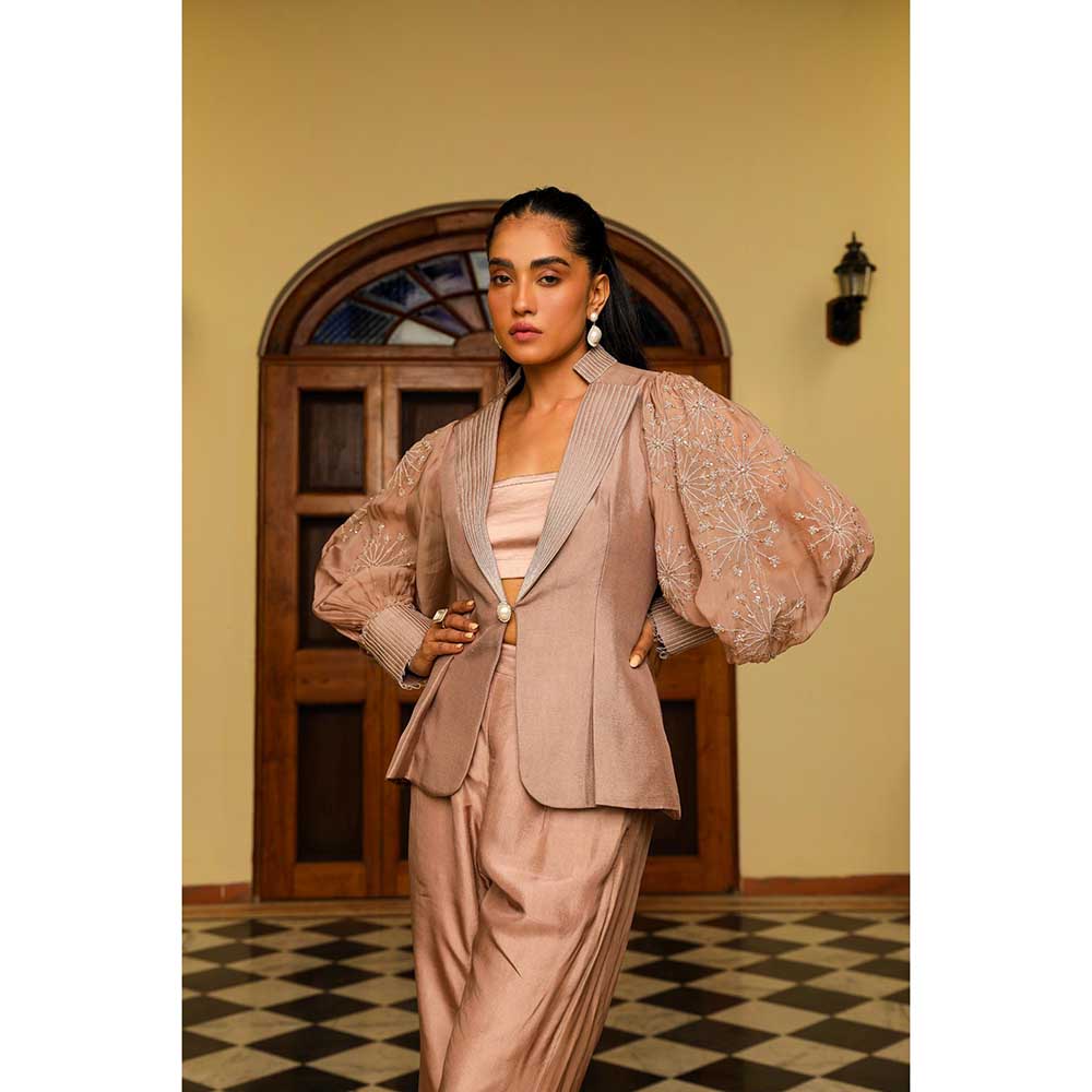Ajiesh Oberoi Organza Embellished Jacket With Pant And Bustier - Tan