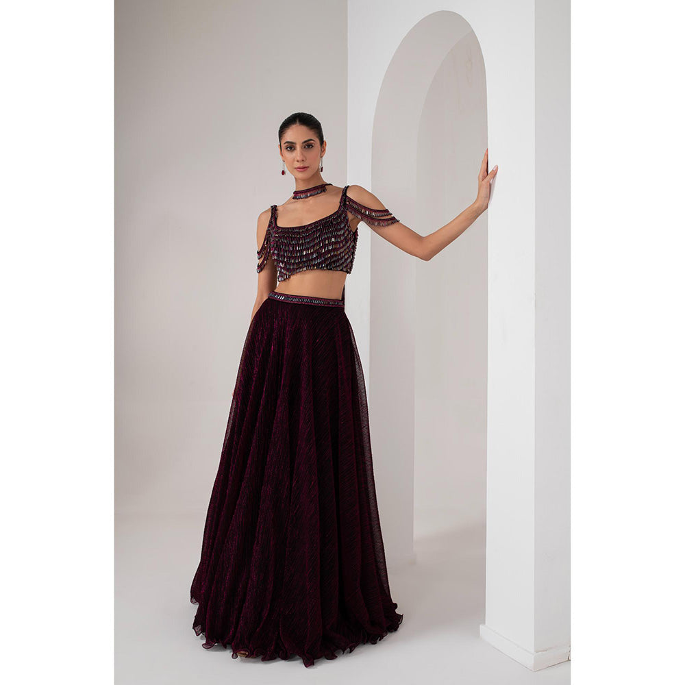 AKARA Women's Wine Crystal Embellished Stitched Blouse with Lehenga and Dupatta (Set of 3)