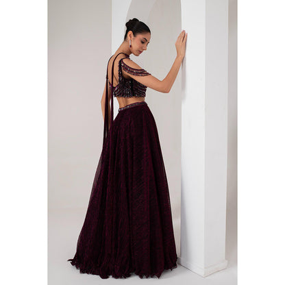 AKARA Women's Wine Crystal Embellished Stitched Blouse with Lehenga and Dupatta (Set of 3)