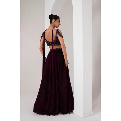 AKARA Women's Wine Crystal Embellished Stitched Blouse with Lehenga and Dupatta (Set of 3)