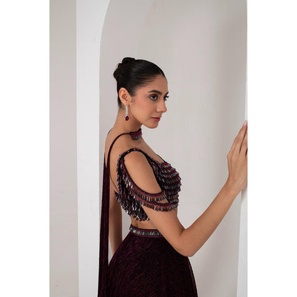 AKARA Women's Wine Crystal Embellished Stitched Blouse with Lehenga and Dupatta (Set of 3)