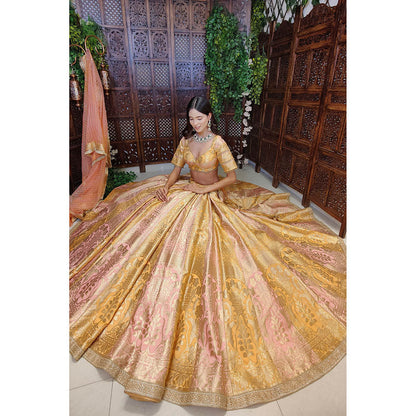 Amaltas Couture Rumeysa Banarasi Silk Blouse with Lehenga and Dupatta (Set of 3)