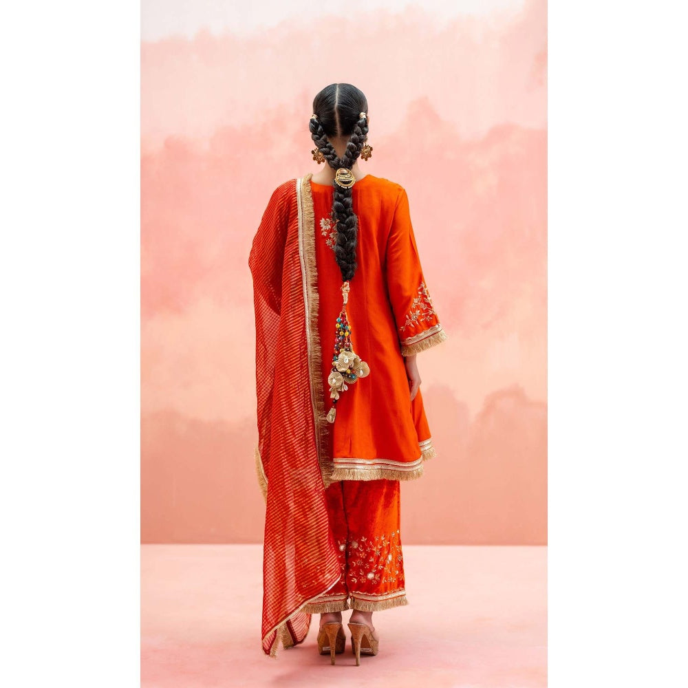 AM by Anita Mittal Orange Firefly Kurta with Pant and Dupatta