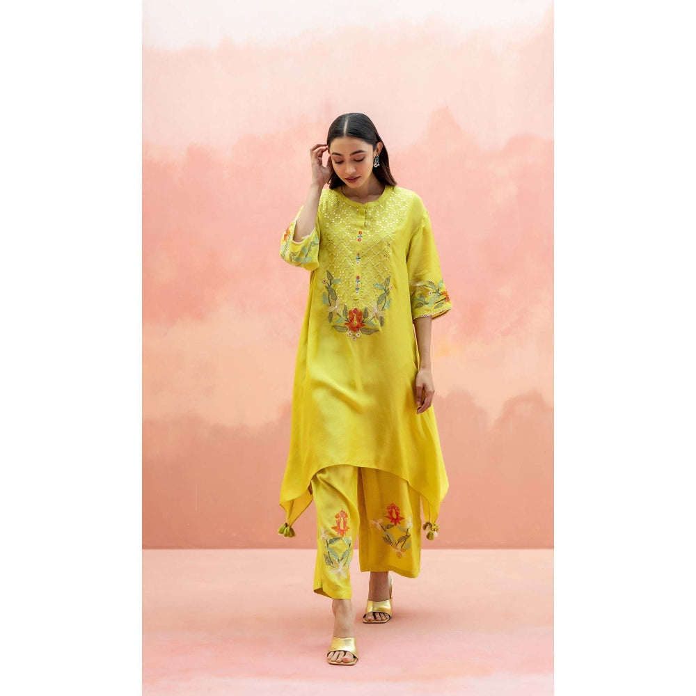 AM by Anita Mittal Yellow Firefly Co-Ord