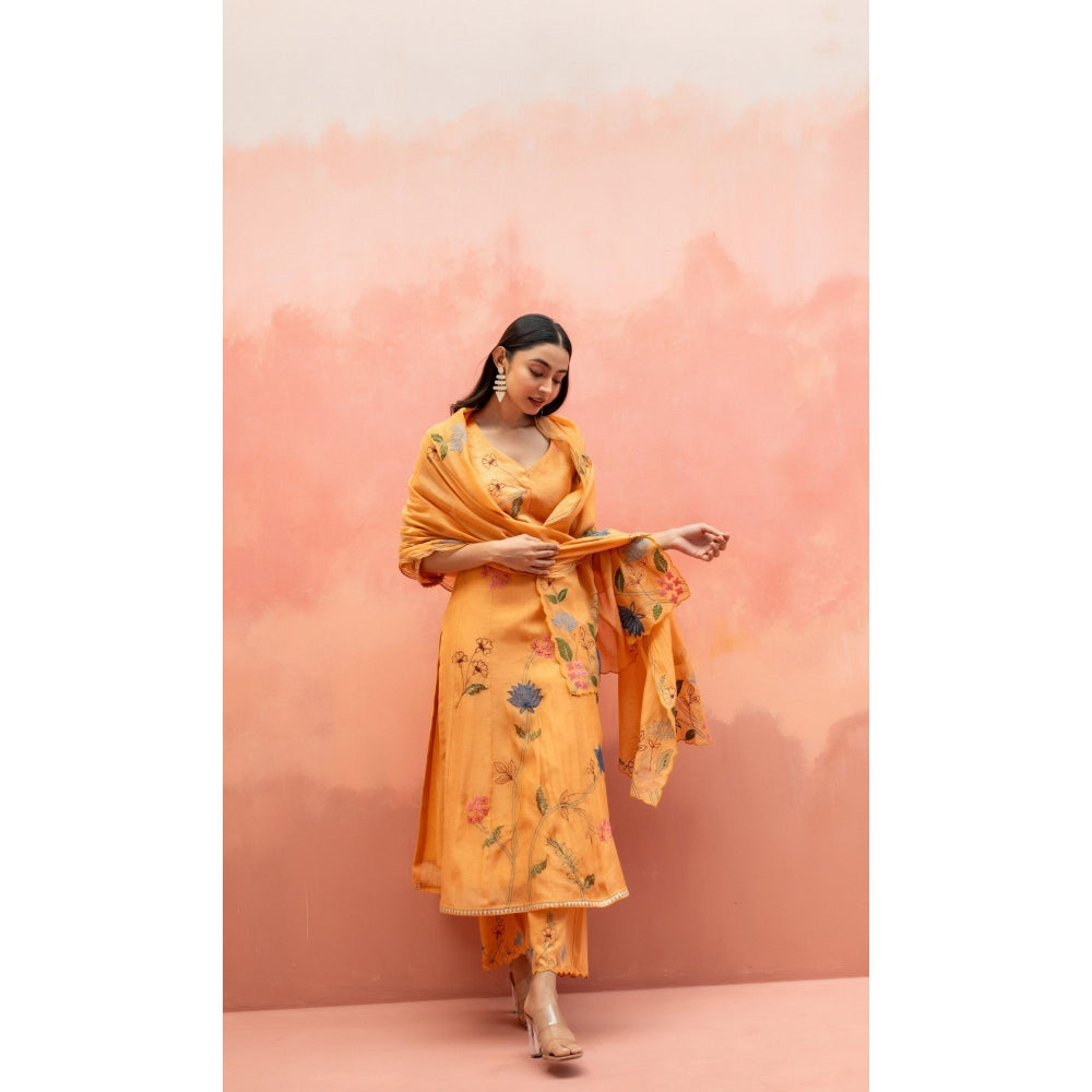 AM by Anita Mittal Falak Orange Anarkali with Pant and Dupatta