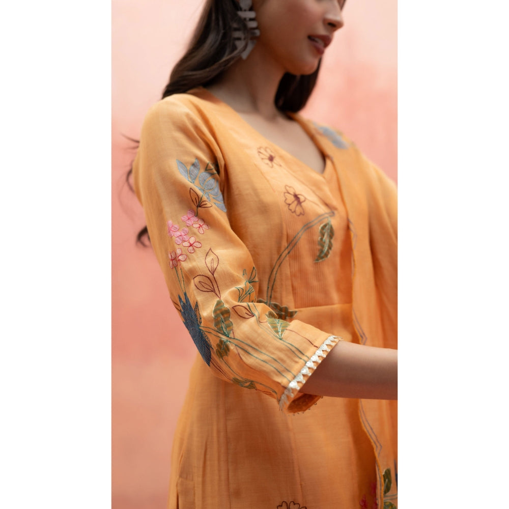 AM by Anita Mittal Falak Orange Anarkali with Pant and Dupatta