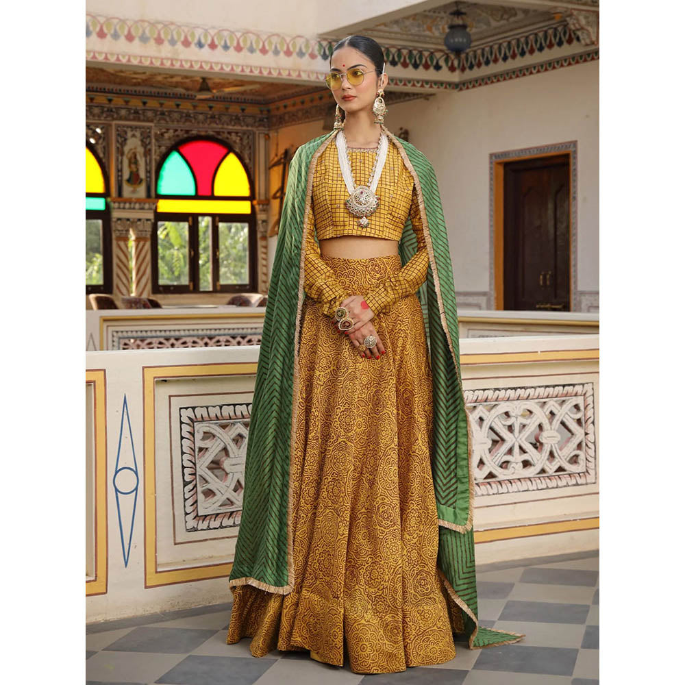 Amoree Zig-Zag Print Aari Embroidered Blouse with Lehenga and Dupatta (Set of 3)