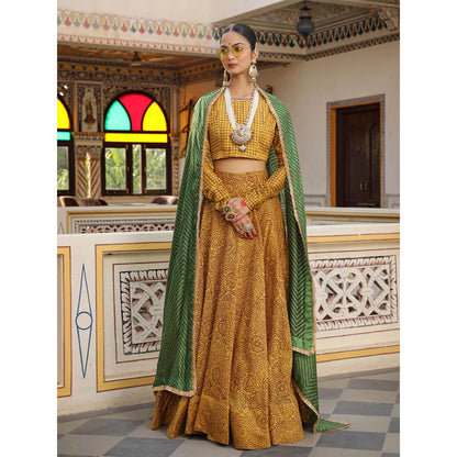 Amoree Zig-Zag Print Aari Embroidered Blouse with Lehenga and Dupatta (Set of 3)