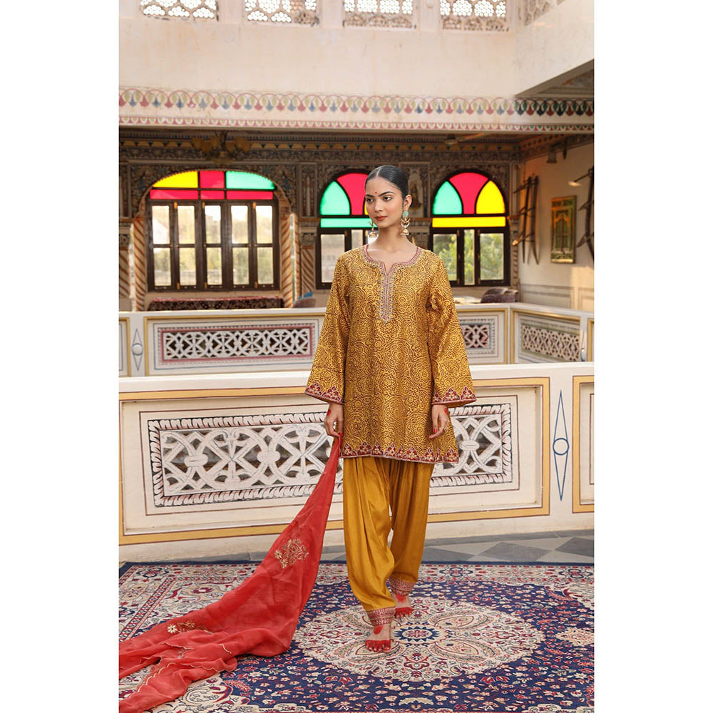 Amoree Womens Embroidered Red Pre-Draped Saree with Stitched Blouse