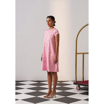 AMOSHI Women Pink Polyester Mini Dress