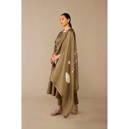 AMPM Erisha Taupe Anarkali Kurta with Pant and Dupatta