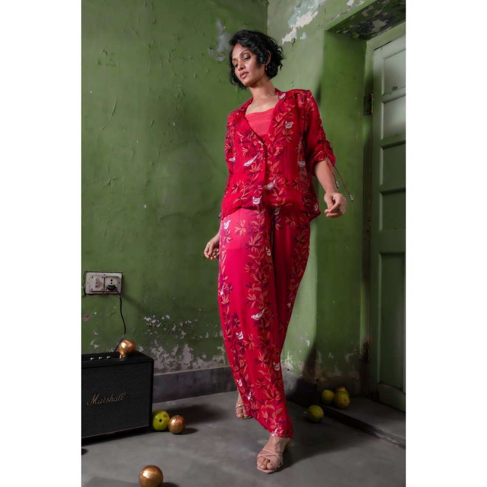 Amrood Pink Featuring A Chic Buttoned Organza Co-Ord (Set of 3)