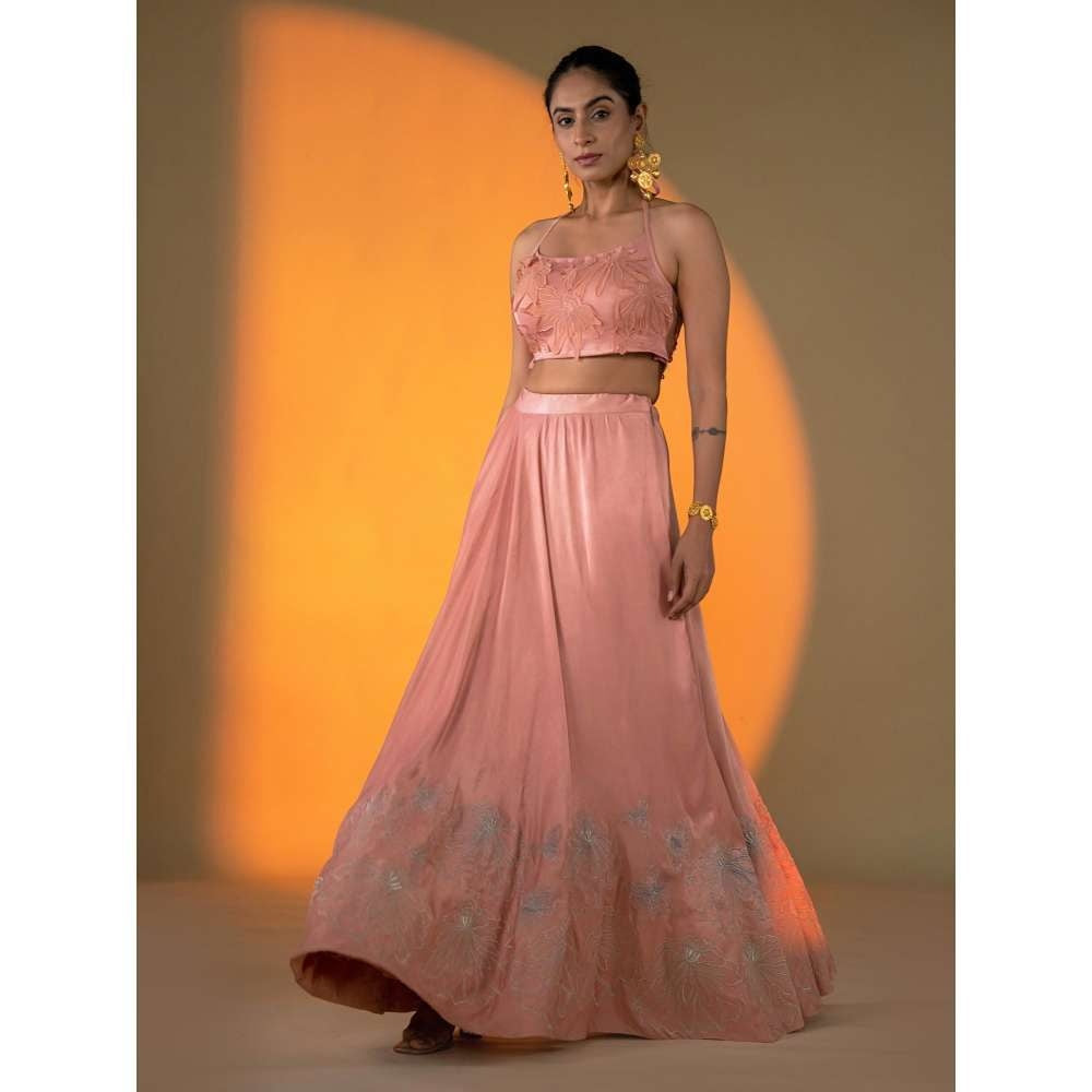 Amrood Peach Lehenga with Intricate Hand Embroidery Blouse (Set of 2)