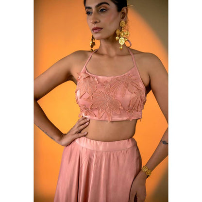 Amrood Peach Lehenga with Intricate Hand Embroidery Blouse (Set of 2)