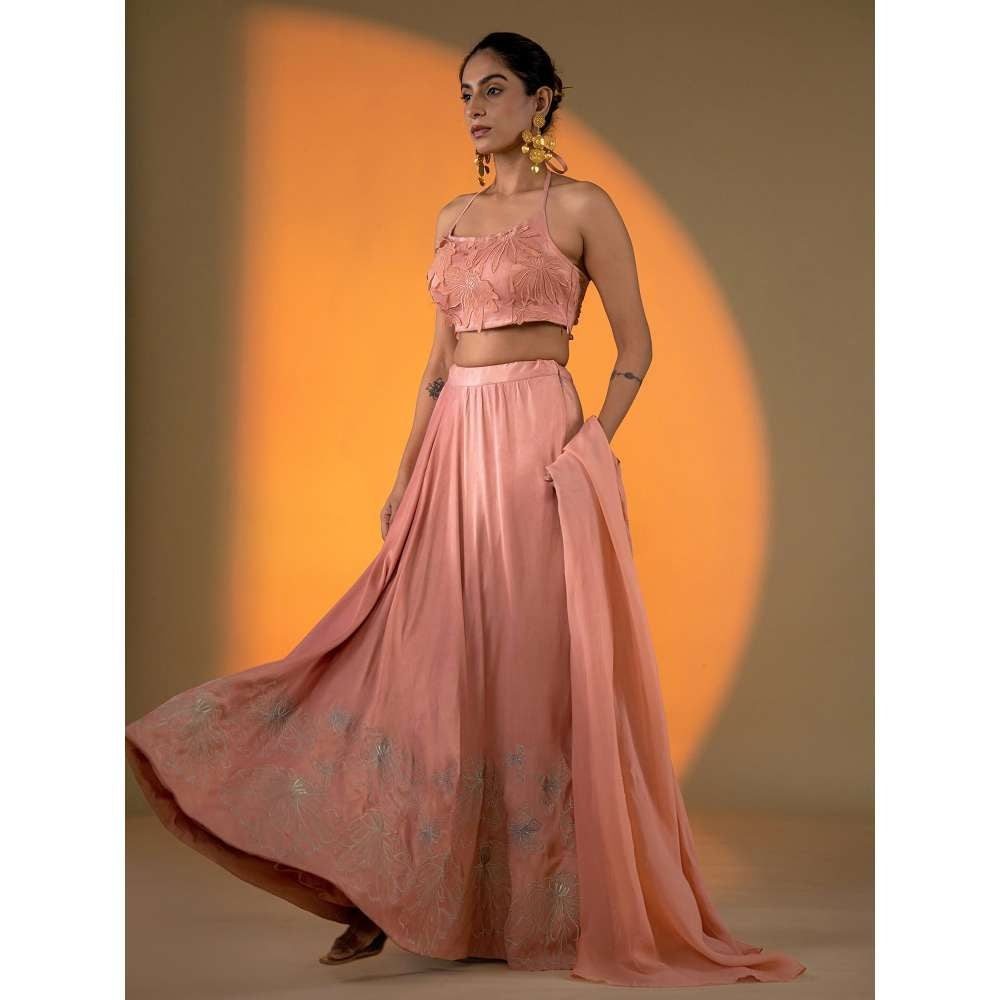 Amrood Peach Lehenga with Intricate Hand Embroidery Blouse (Set of 2)