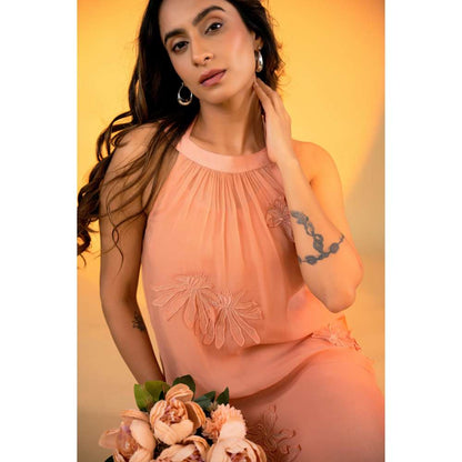 Amrood Peach Embroidered Dress with Inner (Set of 2)