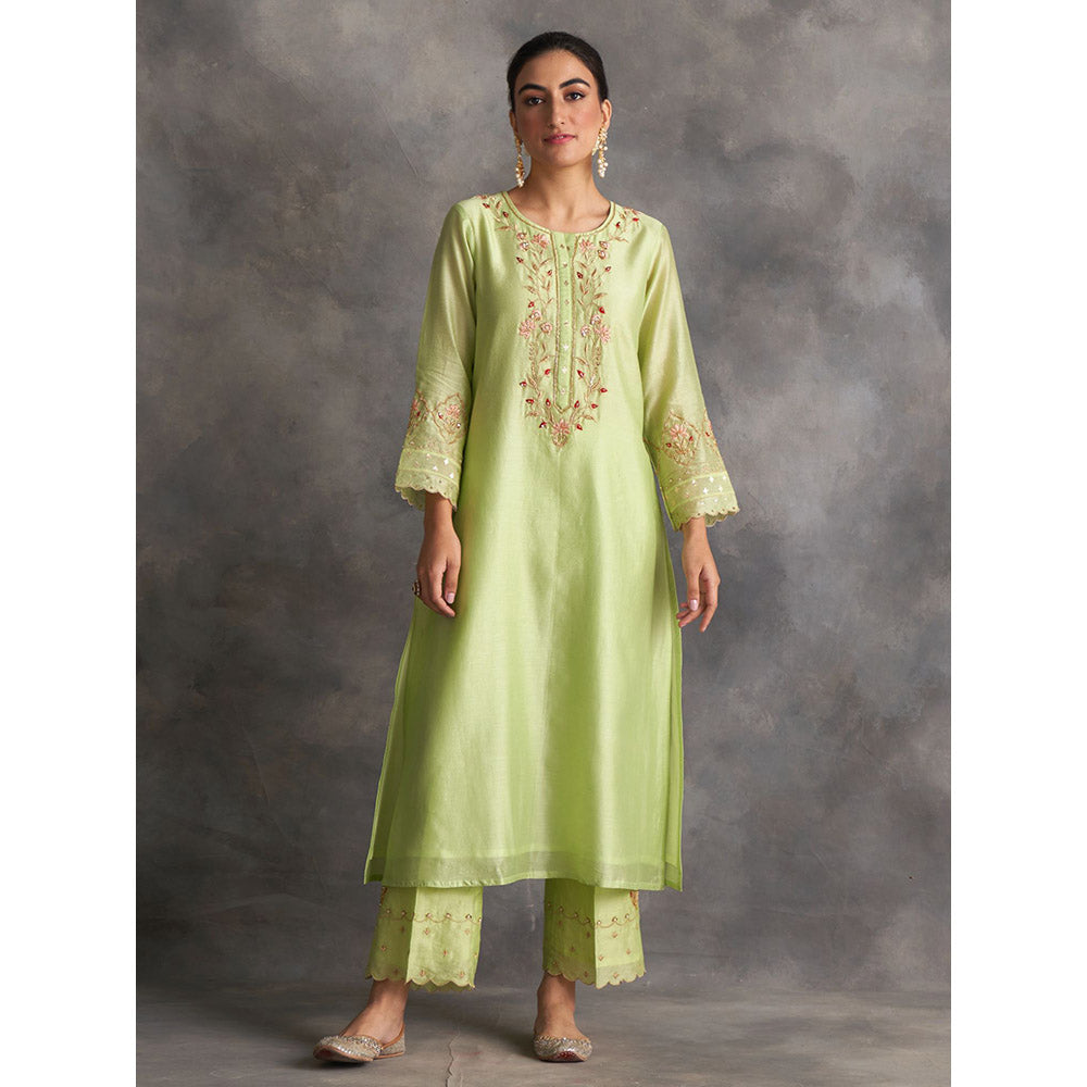 Anantaa by Roohi Trehan Light Green Silk Chanderi A-Line Kurta With Hand Embroidery