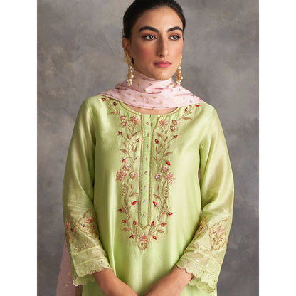 Anantaa by Roohi Trehan Light Green Silk Chanderi A-Line Kurta With Hand Embroidery
