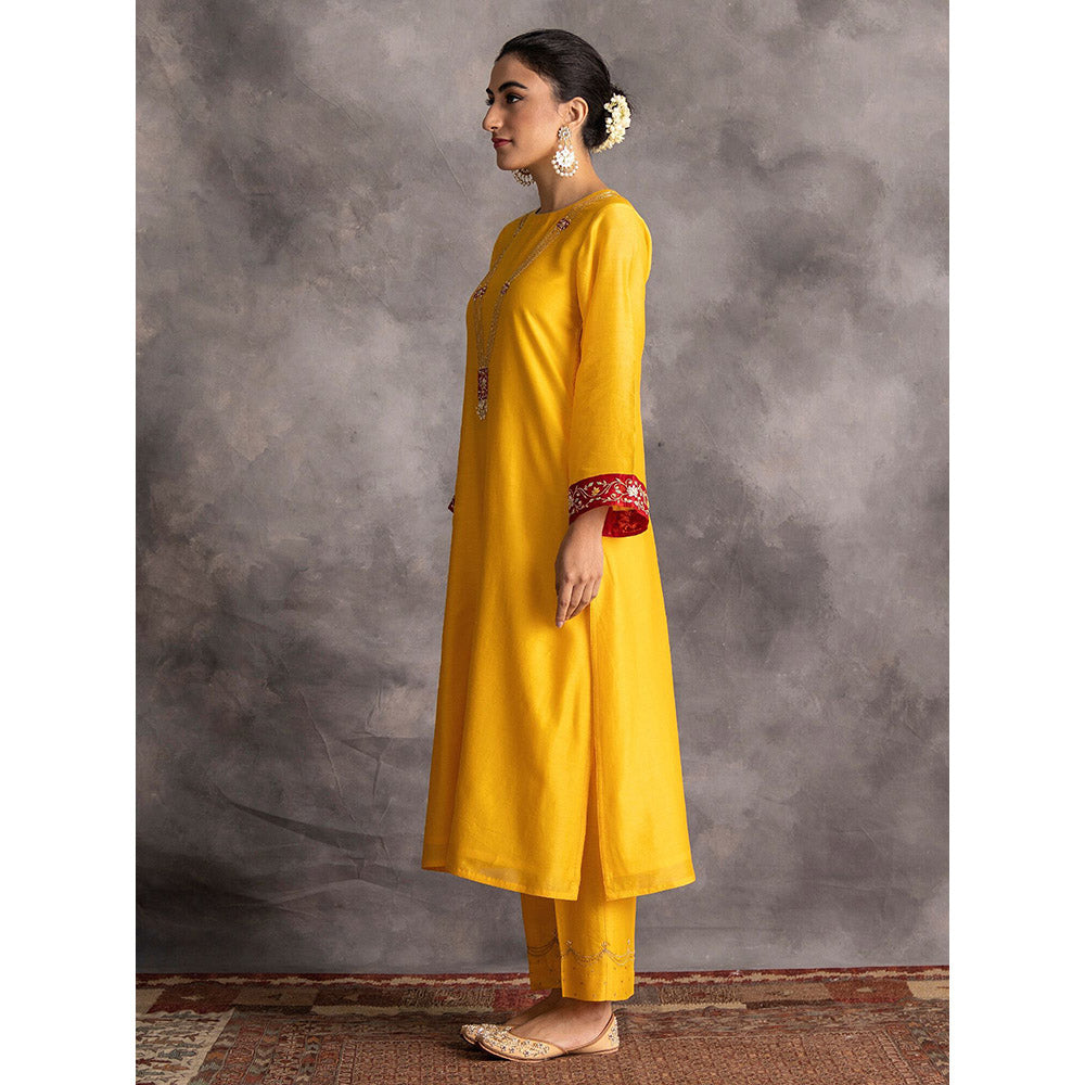 Anantaa by Roohi Trehan Yellow Silk Chanderi A-Line Kurta With Hand Embroidery