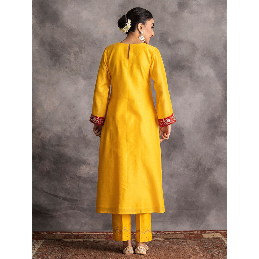Anantaa by Roohi Trehan Yellow Silk Chanderi A-Line Kurta With Hand Embroidery