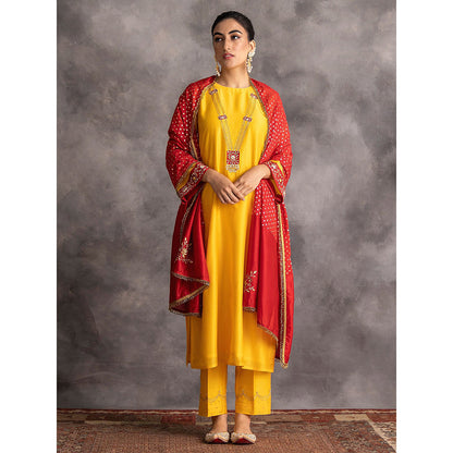 Anantaa by Roohi Trehan Yellow Silk Chanderi A-Line Kurta With Hand Embroidery