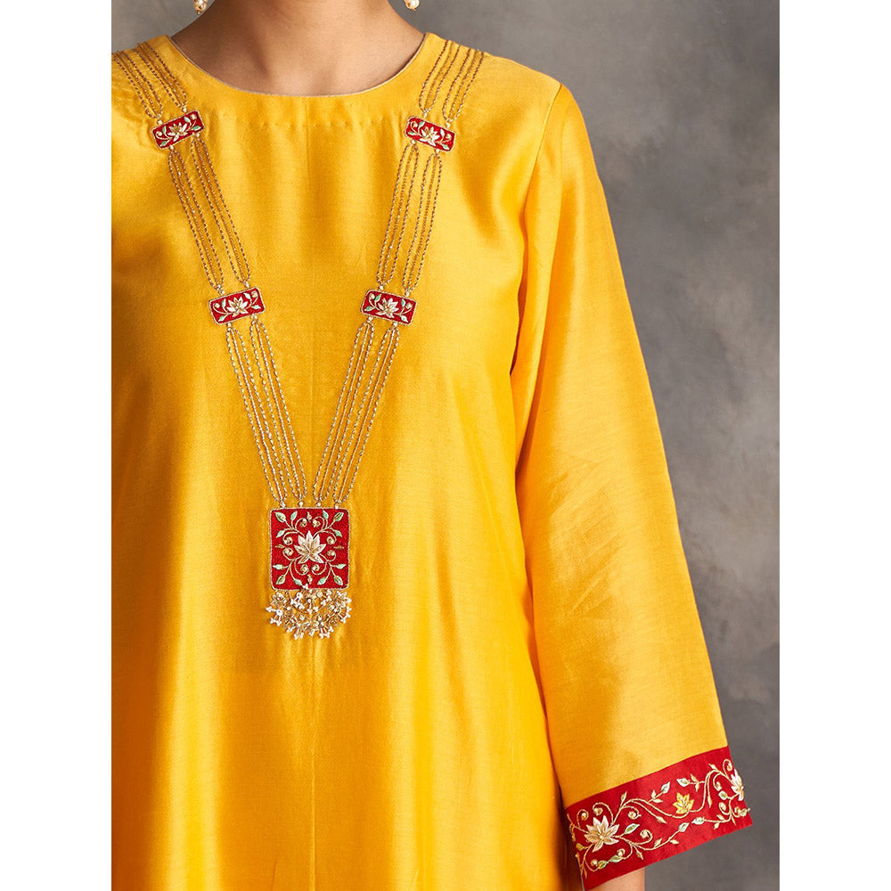Anantaa by Roohi Trehan Yellow Silk Chanderi A-Line Kurta With Hand Embroidery