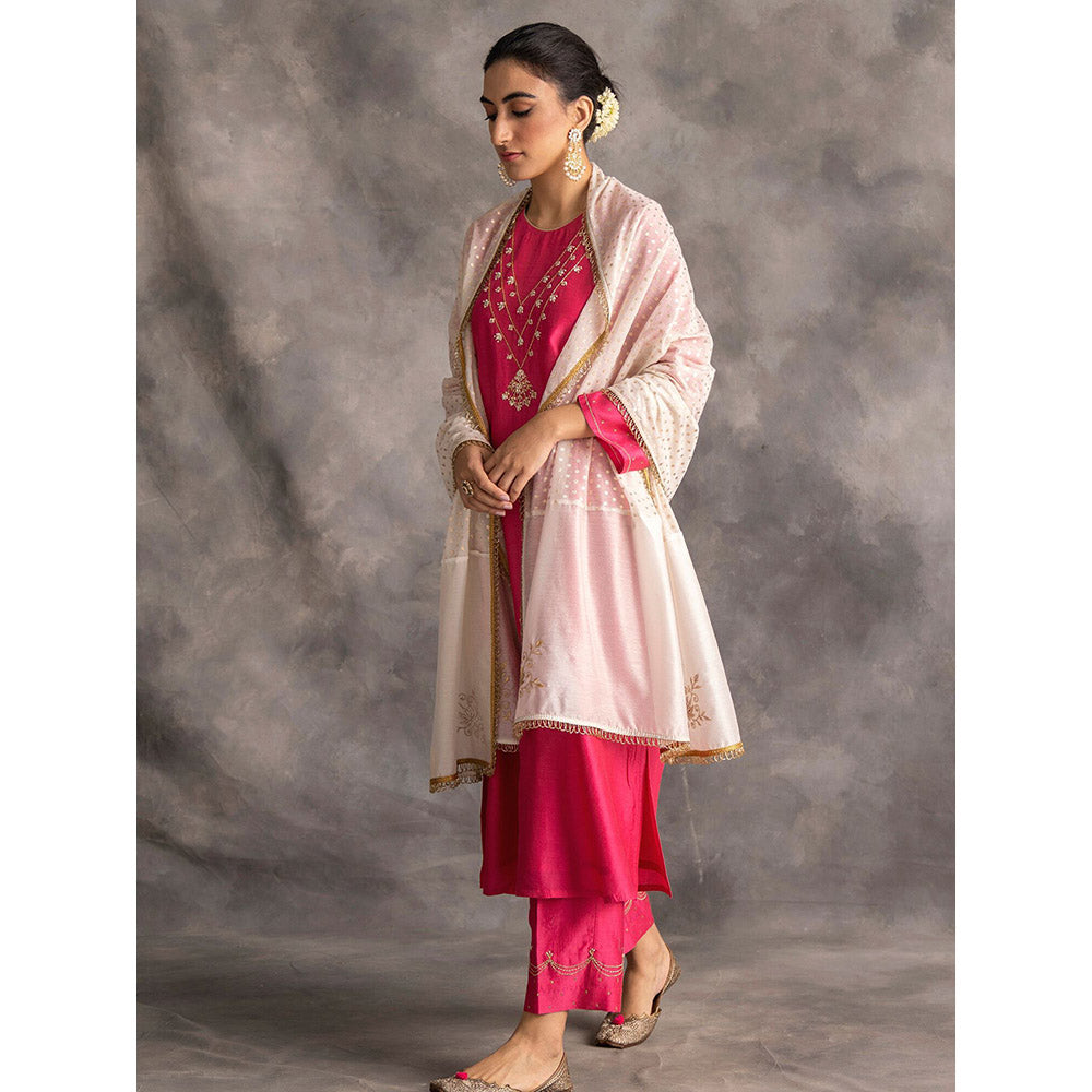 Anantaa by Roohi Trehan Pink Silk Chanderi A-Line Kurta With Hand Embroidery