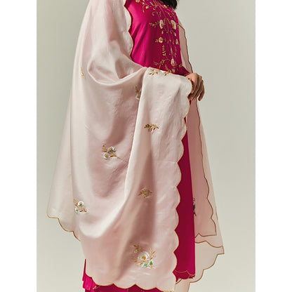 Anantaa by Roohi Trehan Light Pink Silk Chanderi Hand Embroidered Dupatta
