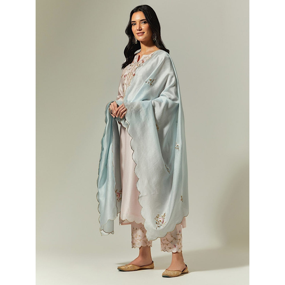 Anantaa by Roohi Trehan Blue Silk Chanderi Hand Embroidered Dupatta