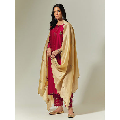 Anantaa by Roohi Trehan Red Silk Chanderi Hand Embroidered Kurta With Plackett