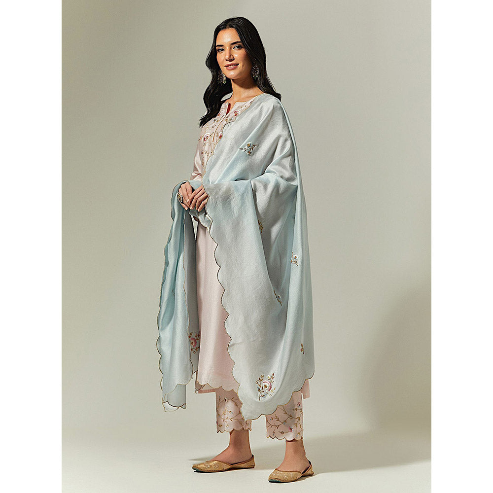 Anantaa by Roohi Trehan Light Pink Silk Chanderi Hand Embroidered Kurta