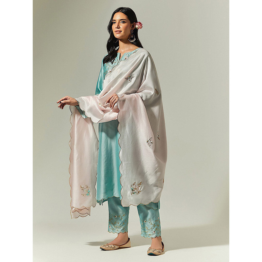 Anantaa by Roohi Trehan Blue Silk Chanderi Hand Embroidered Kurta