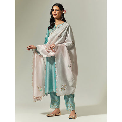 Anantaa by Roohi Trehan Blue Silk Chanderi Hand Embroidered Kurta