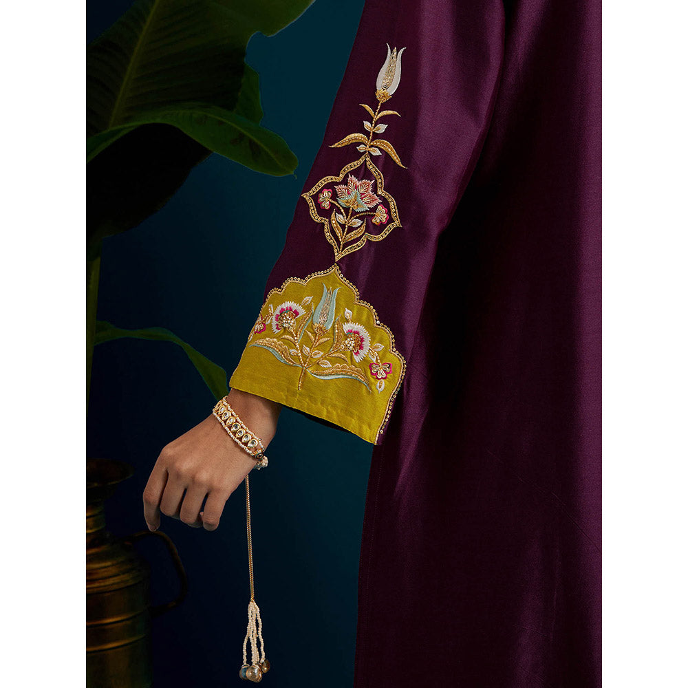 Anantaa by Roohi Trehan Purple Paisley Yoke Kurta