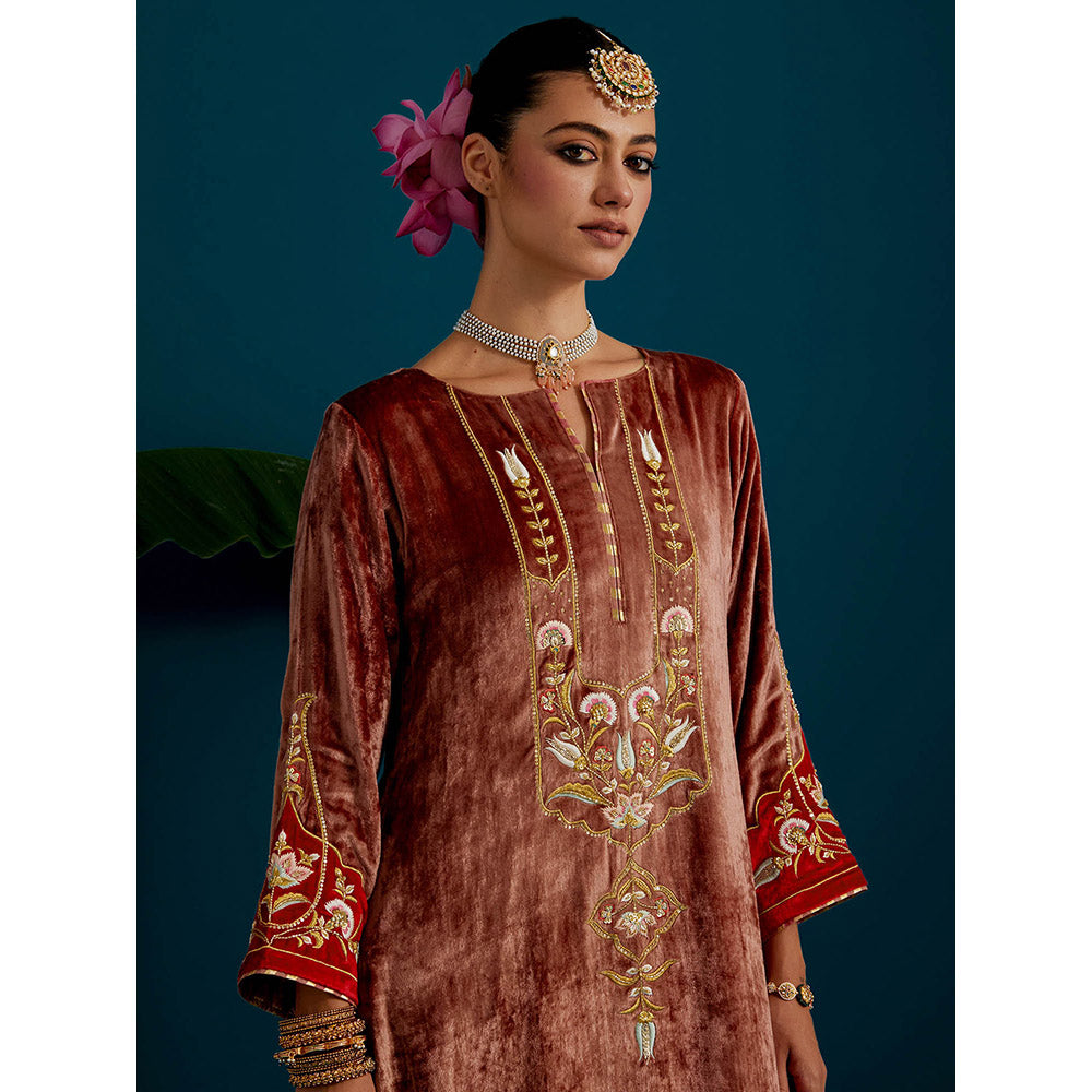 Anantaa by Roohi Trehan Dull Brown Velvet Round Neck Kurta