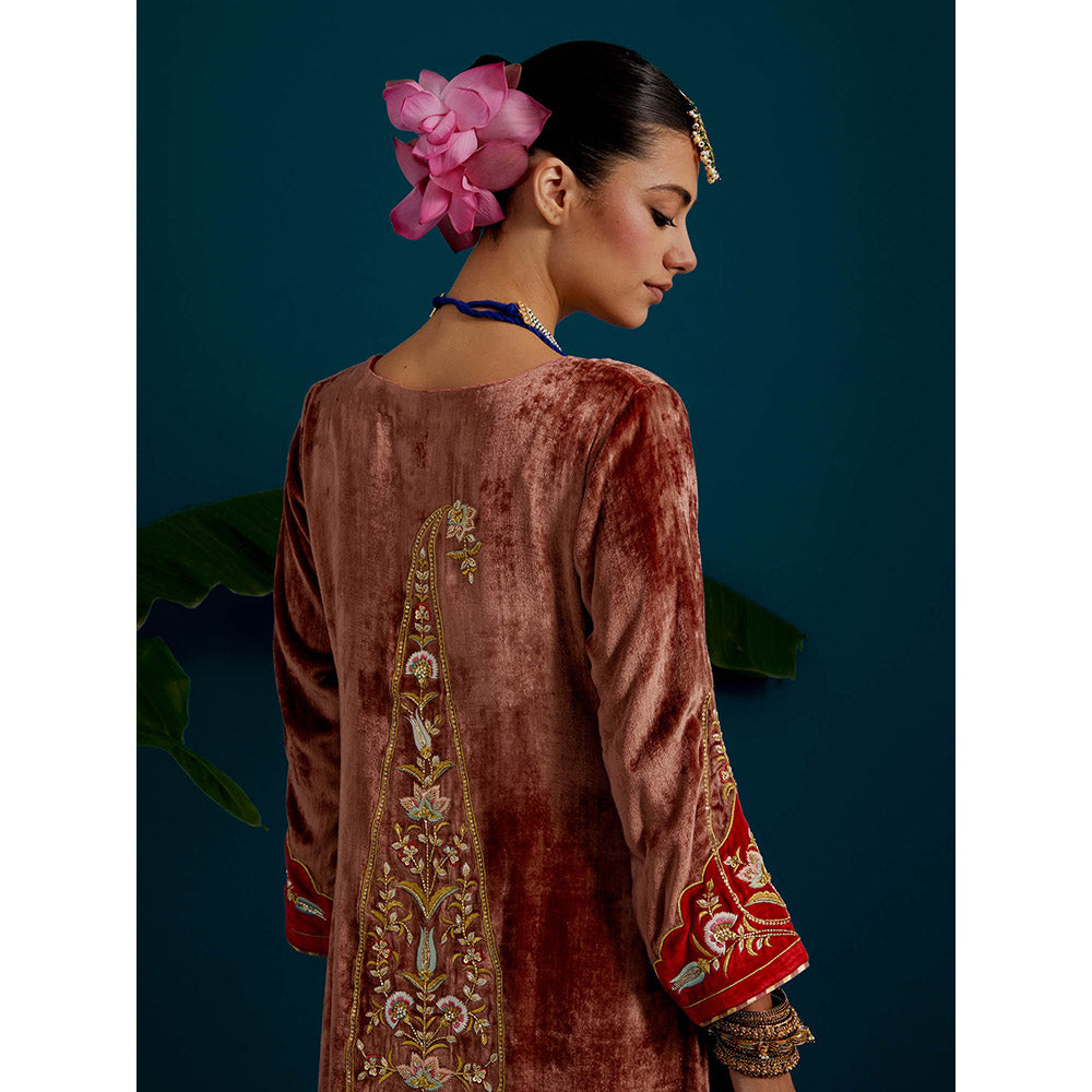 Anantaa by Roohi Trehan Dull Brown Velvet Round Neck Kurta