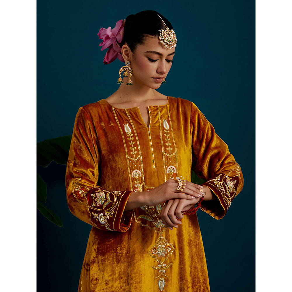 Anantaa by Roohi Trehan Mustard Orange Velvet Round Neck Kurta