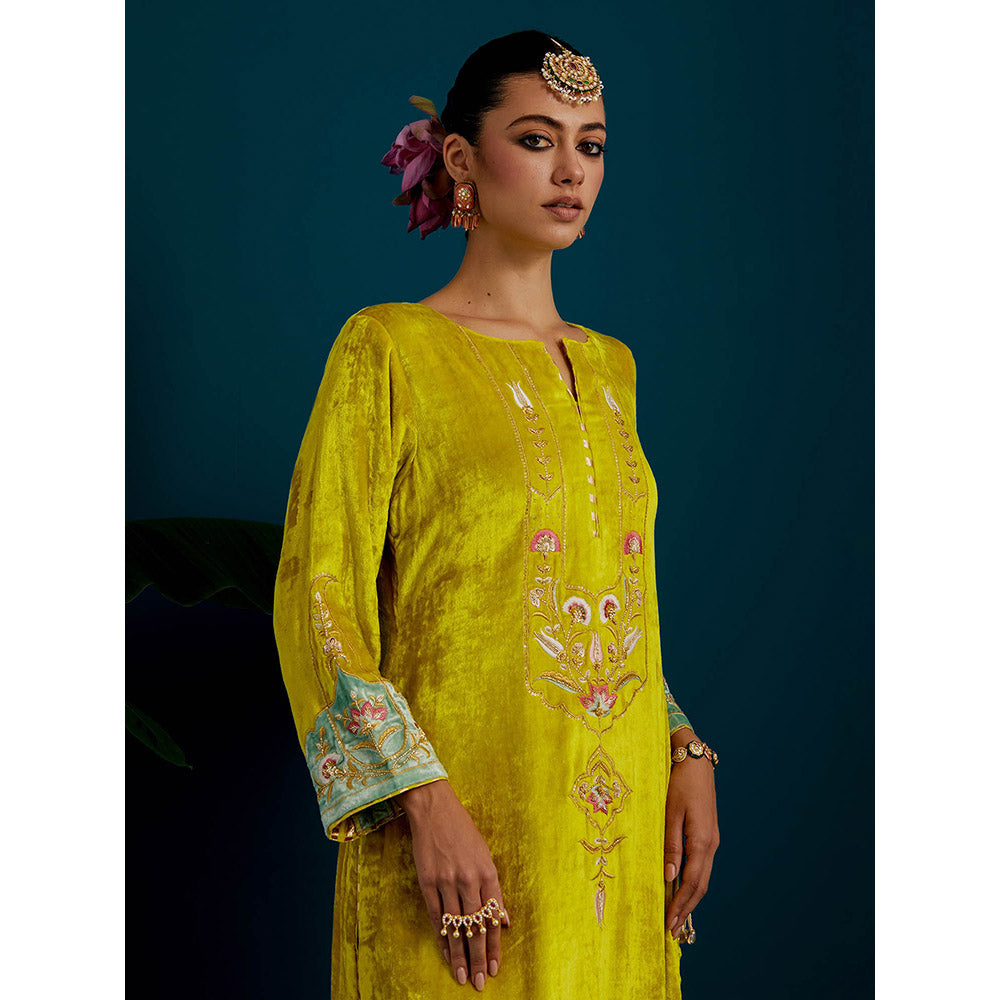 Anantaa by Roohi Trehan Lime Yellow Velvet Round Neck Kurta