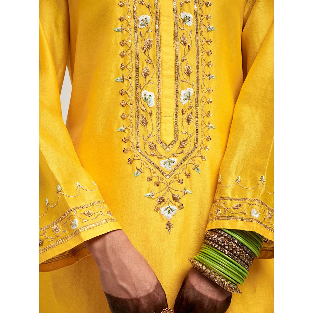 Anantaa by Roohi Trehan Embroidered Placket Kurta with Pant - Yellow