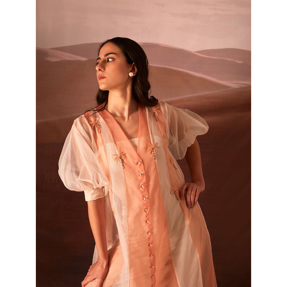 AN'ERA BY ASMITA VERMA Clover Peach Embroidered Dress and Slip (Set of 2)