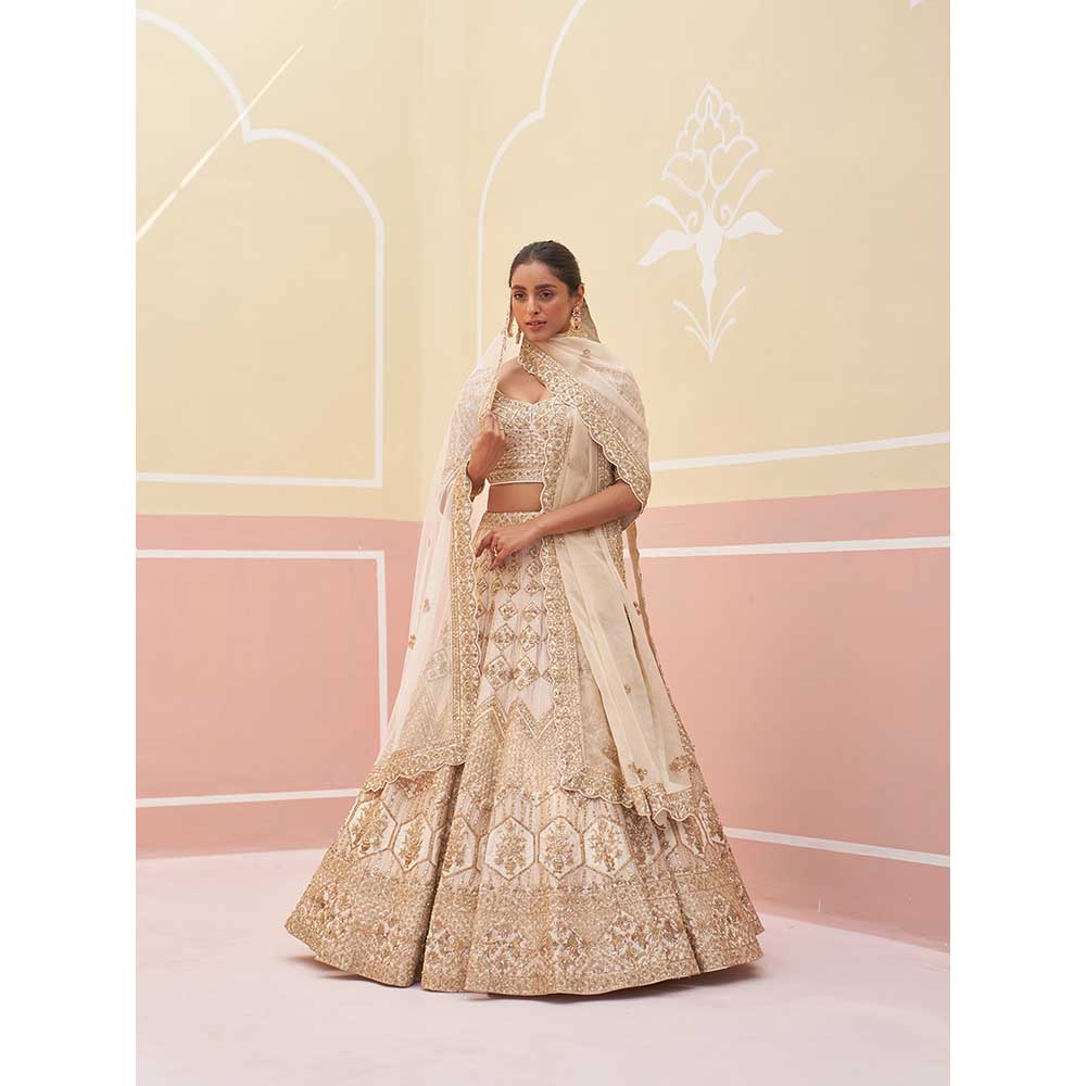 ANGAD SINGH Ivory Raw Silk Lehnga with Blouse & Dupatta (Set of 3)