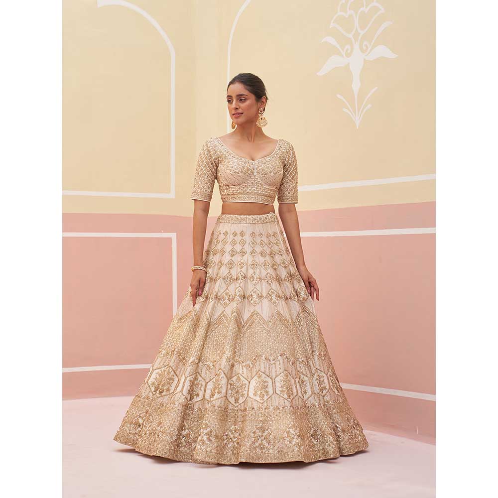 ANGAD SINGH Ivory Raw Silk Lehnga with Blouse & Dupatta (Set of 3)