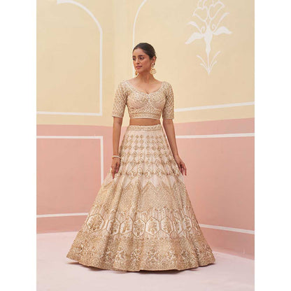 ANGAD SINGH Ivory Raw Silk Lehnga with Blouse & Dupatta (Set of 3)