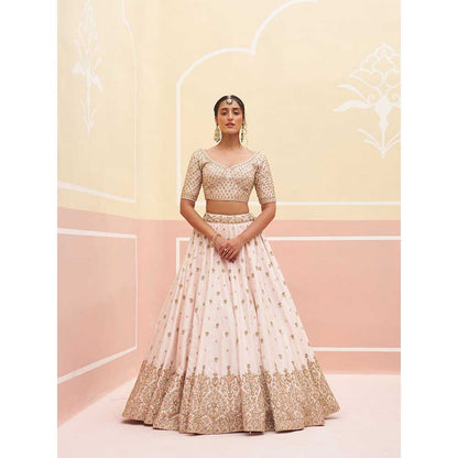 ANGAD SINGH Blush Pink Raw Silk Lehnga with Blouse & Dupatta (Set of 3)