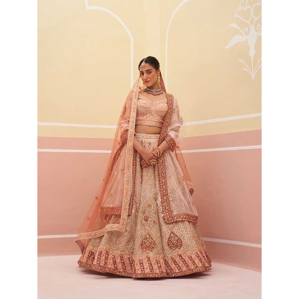 ANGAD SINGH Peach Organza Lehnga with Blouse & Dupatta (Set of 3)