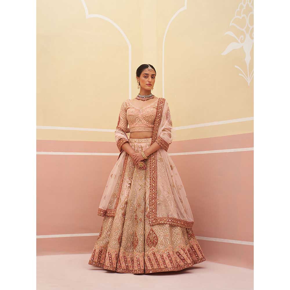 ANGAD SINGH Peach Organza Lehnga with Blouse & Dupatta (Set of 3)