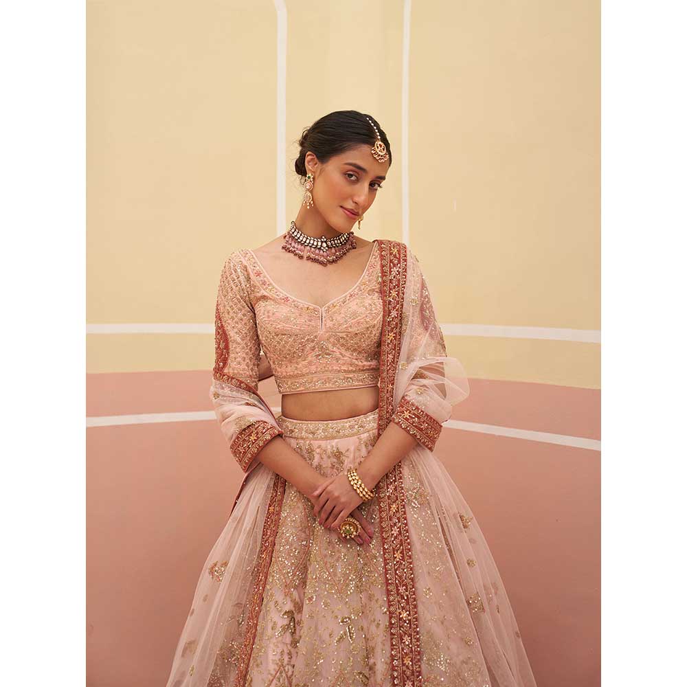 ANGAD SINGH Peach Organza Lehnga with Blouse & Dupatta (Set of 3)