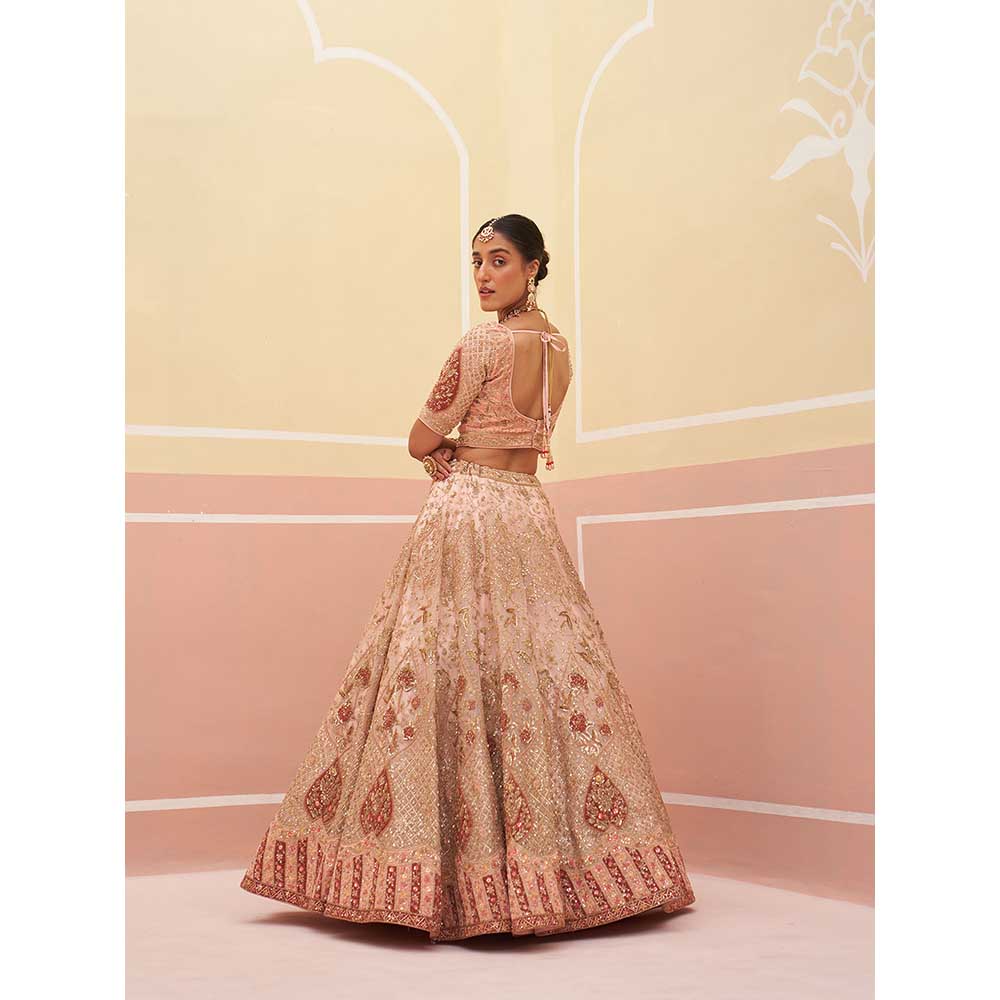 ANGAD SINGH Peach Organza Lehnga with Blouse & Dupatta (Set of 3)