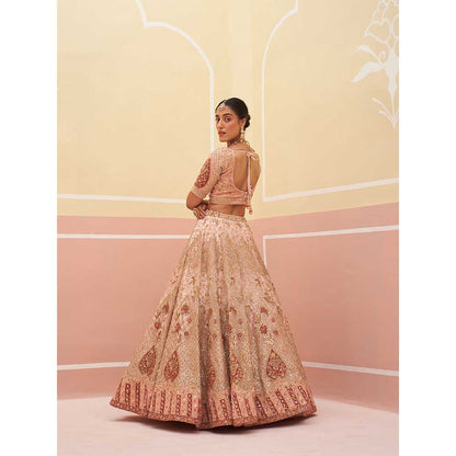 ANGAD SINGH Peach Organza Lehnga with Blouse & Dupatta (Set of 3)